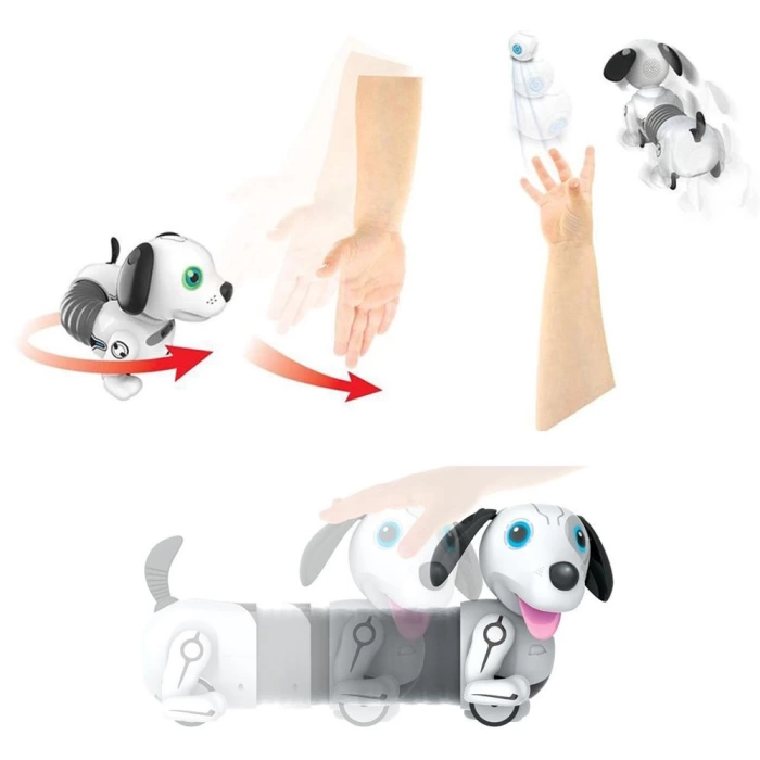 Nessiworld Silverlit Robo Dackel Junior Robot Köpek