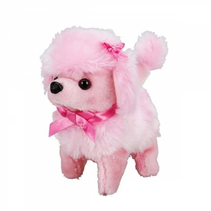 Nessiworld  Sunman Sevimli Köpek Poodle