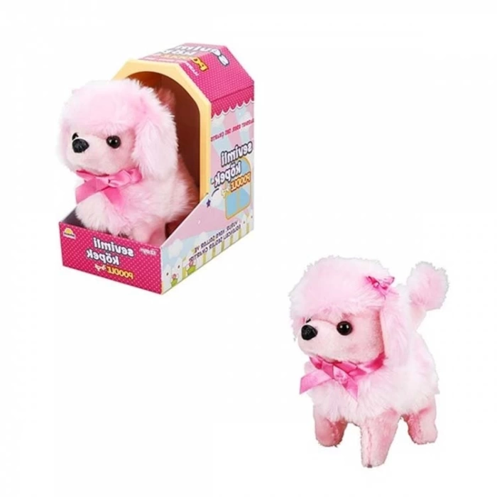 Nessiworld  Sunman Sevimli Köpek Poodle
