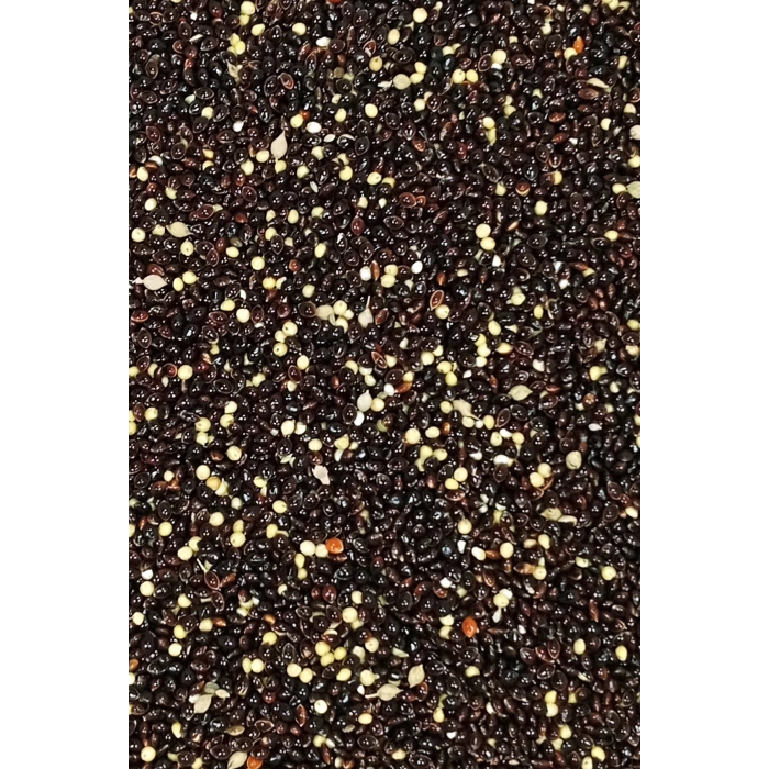 Siyah Darı Sade Tozsuz Doğal Taze Kuş Yemi - 10 kg