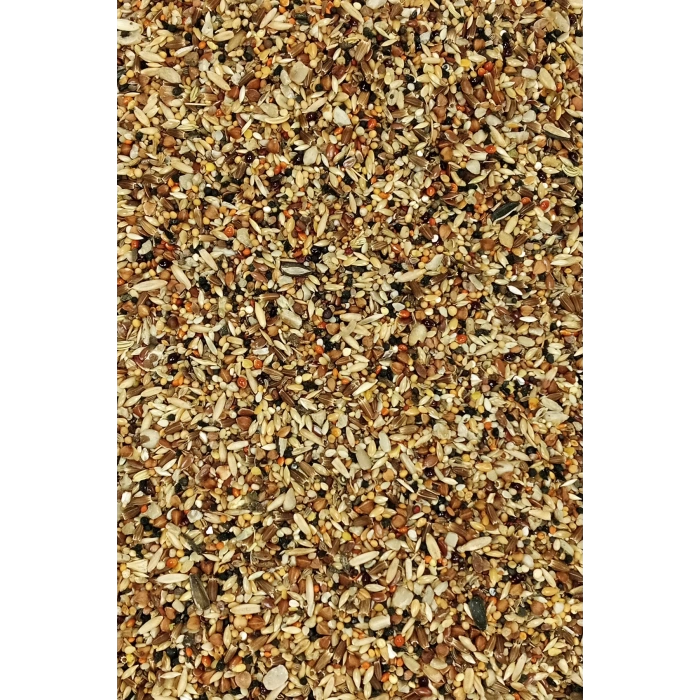 Tüm Kuşlar İçin Doğal Taze Sağlık Tohumu Karışımı - 3 kg