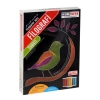 Nessiworld 5216 KumToys, Filografi Sanatı