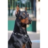 Kanvas Sayılarla Boyama Seti Kasnaklı-çerçeveli Doberman