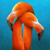 Kanvas Sayılarla Boyama Seti Kasnaklı-çerçeveli Sarilan Flamingo