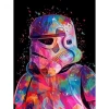 Kanvas Sayılarla Boyama Seti Kasnaklı-çerçeveli Starwars Klon Asker