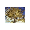 Kanvas Sayılarla Boyama Seti Kasnaklı-çerçeveli Van Gogh Ağaç