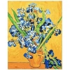 Kanvas Sayılarla Boyama Seti Kasnaklı-çerçeveli Van Gogh Süsen