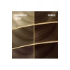Naturals Saç Boyası Altın Kestane 5/73 2x Paket