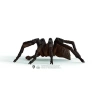 Nessiworld  13987 Schleich - Aragog - Harry Potter Serisi +3 yaş