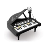 Nessiworld  BAO-1505A Mikrofonlu Mini Piano 24 Tuş MP3 Çalar