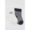 Nessiworld Bistyle Big Heart Penye Soket Çorap 2Li BS10117 Antrasit
