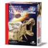 Nessiworld Dinozor Kazma Kiti Tyrannosaurus İskeleti