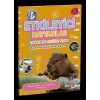 NessiWorld Etkileyici Hayvanlar Çıkartmalı Aktivite Kitabı Boyama-Katlama-Kesme