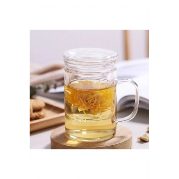 Borosilikat Cam Kupa 350 Ml – Cam Kapaklı, Süzgeçli Demleme Kupa