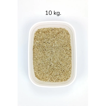 Doğal Taze Kanarya Sade Kuş Yemi - 10 kg
