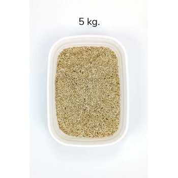 Doğal Taze Kanarya Sade Kuş Yemi - 5 kg