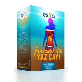 Fantastik 4 Lü Yaz Çayı 45 Li.