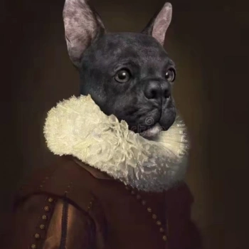 Kanvas Sayılarla Boyama Seti Kasnaklı-çerçeveli Asil Köpek
