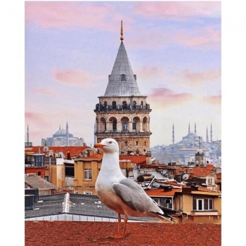 Kanvas Sayılarla Boyama Seti Kasnaklı-çerçeveli Galata Kulesi Ve Martı