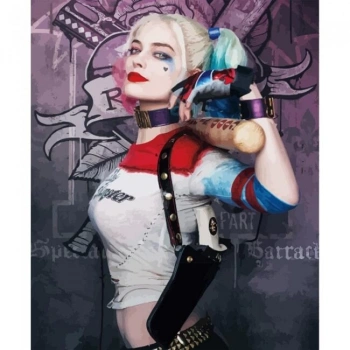 Kanvas Sayılarla Boyama Seti Kasnaklı-çerçeveli Harley Quinn 2