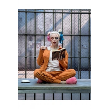 Kanvas Sayılarla Boyama Seti Kasnaklı-çerçeveli Harleyquinnin Bir Günü
