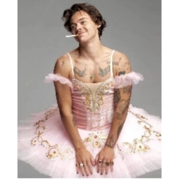 Kanvas Sayılarla Boyama Seti Kasnaklı-çerçeveli Harry Styles
