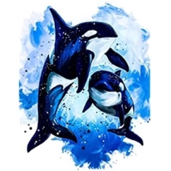 Kanvas Sayılarla Boyama Seti Kasnaklı-çerçeveli Orca