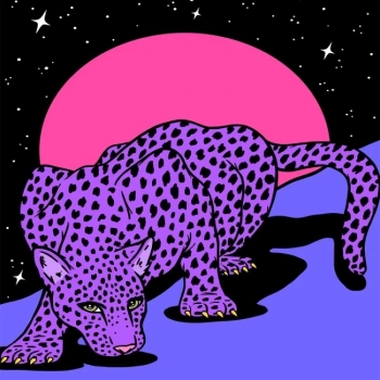 Kanvas Sayılarla Boyama Seti Kasnaklı-çerçeveli Uzaydaki Leopar