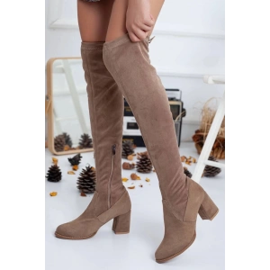 Kadın Kalın Topuklu Streç Çizme Vizon