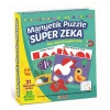 1536 DıyToy Manyetik Puzzle - Super Zeka / 31 Parça Puzzle / 3-9 yaş