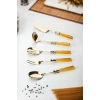 5 Parça Gold Servis Seti & Servis Sunum Seti Amber ( Kepçe / Kevgir / Sıpatula / Çatal / Kaşık )