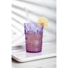 Akrilik Mor Kısa Bardak & Su Meşrubat Kahve Yanı Bardağı 400 ml ( Cam Değildir )