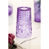 Akrilik Mor Tekli Uzun Bardak & Su Meşrubat Bardağı 750 ml ( Büyük Boy & Cam Değildir )
