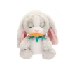 BAW02000 Baby Paws Sesli Tavşan 20 cm Peluş