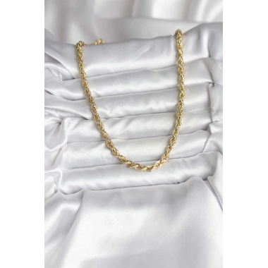 14K Gold Renk Kaplama Burgu Model CM Kadın Kolye