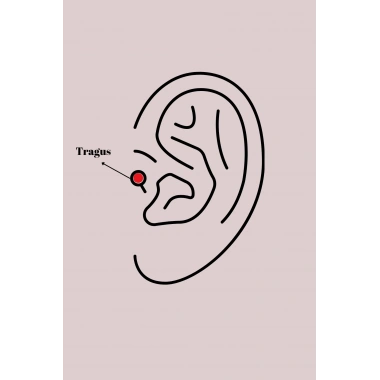 316L Çelik Gold Renk Zirkon Taşlı Çiçek Tragus Piercing