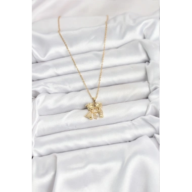 316L Çelik Zincir Gold Renk Erkek Kız Model Kadın Kolye