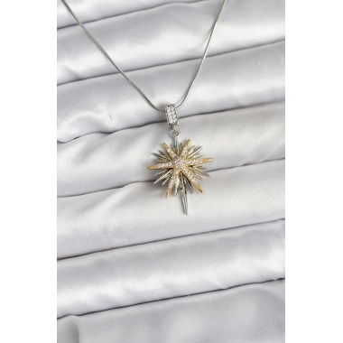 316L Çelik Zincir Gümüş Renk Kutup Yıldızı Model Kadın Kolye
