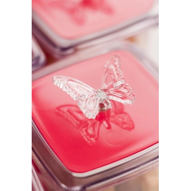 Akrilik Fuşya 12 Li Baharat Kavanozu & Baharatlık & Baharatlık Seti 200 ML ( CAM DEĞİLDİR )