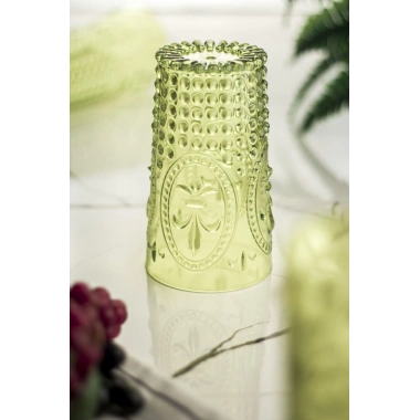 Akrilik Yeşil Tekli Uzun Bardak & Su Meşrubat Bardağı 750 ml ( Büyük Boy & Cam Değildir )