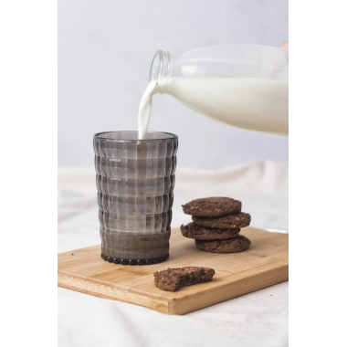 Allegra Füme Akrilik Bardak | 400 ml Modern Su ve Meşrubat Bardağı | Kırılmaya Dayanıklı | Cam Değildir Tekli