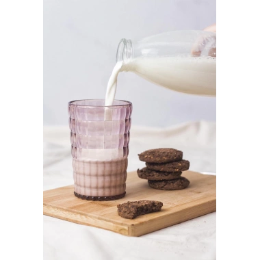 Allegra Mürdüm Akrilik Bardak | 400 ml Şık Su ve Meşrubat Bardağı | Cam Değildir | Kırılmaya Dayanıklı Tekli