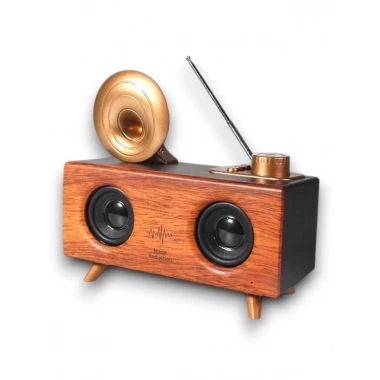 B6 SPEAKER HOPARLÖR