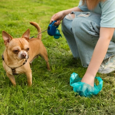 BiiShe® 10 Adet Evcil Hayvan Kullan At Kaka Poşeti