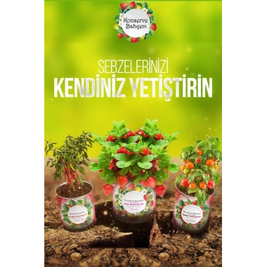 BiiShe® Konserve Bahçem Evde Konservede Tatlı Sivri Biber Yetiştirme Kiti
