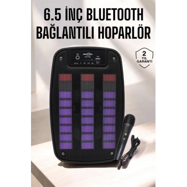 Bluetooth Hoparlör RGB Işıklı USB SD Kart Girişli Taşınabilir