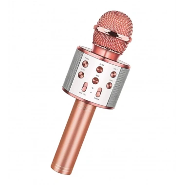 Bluetooth Karaoke Mikrofon (5468)