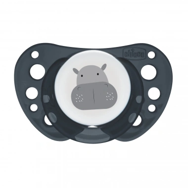 Chicco PhysioForma Air 2li Silikon Emzik 16-36 Ay