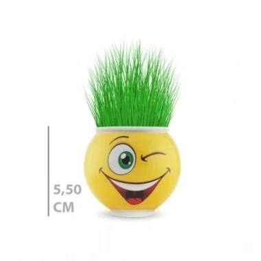 Çim Adam Saksı Emoji Figürlü 1 Adet