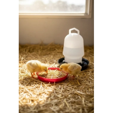 Civciv Suluk 0,75 ML Kaliteli Plastik + Tabak Yemlik